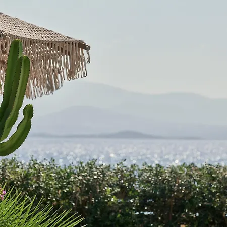 Mando Seaside Naousa (Paros)