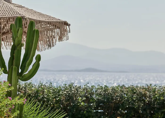 Mando Seaside Naousa (Paros)