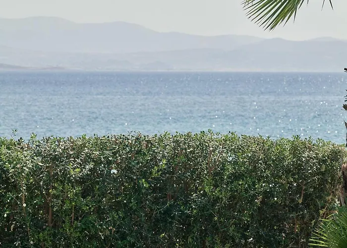 Mando Seaside * Naousa (Paros)